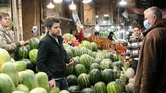 سازمان تعاون روستایی طرح مصوب مستقلی برای توزیع میوه شب یلدا ندارد