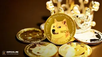 تحلیل قیمت دوج‌کوین؛ شروع حرکت صعودی طبق چرخه قدیمی