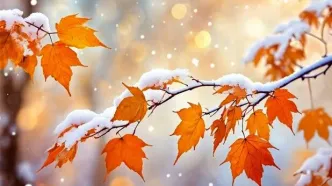 هشدار بارش برف و باران در 20 استان