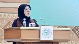 مهاجرانی: توسعه پایدار بدون مشارکت زنان ممکن نیست