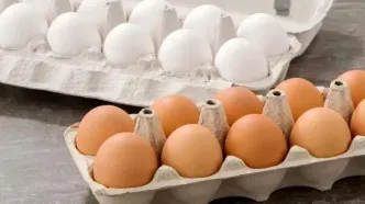 جهش شوک کننده قیمت تخم‌مرغ | تخم‌مرغ شانه ای ۳۰۰ هزار تومان شد