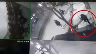 فیلم درگیری با چماق در بلوار دانشجو مشهد