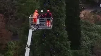 رونمایی از بلندترین درخت کریسمس جهان