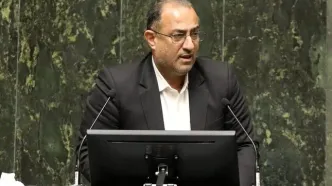 وضعیت واردات و توزیع نهاده های دامی در کشور اسفناک است