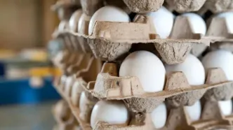 خبر رسمی درباره قیمت تخم مرغ اعلام شد (۱۲ آذر)