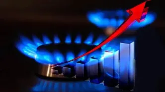 مدیرعامل شرکت ملی گاز هشدار داد: شاید مجبور شویم محدودیت اعمال کنیم