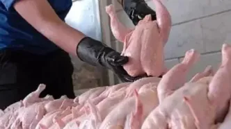 قیمت سینه مرغ، قیمت ران مرغ و قیمت مرغ امروز پنجشنبه ۲ بهمن ۱۴۰۴ + جدول