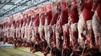 اعلام قیمت گوشت وارداتی در بازار | قیمت گوشت ارزان می شود؟