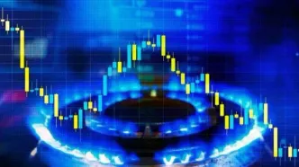 مصرف بی‌سابقه گاز در بخش خانگی/هشدار صادر شد