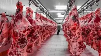 آمار ذبح رسمی انواع گوشت در فروردین ۱۴۰۵