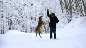 تصاویر؛ زیبایی چشم‌نواز سوادکوه در برف