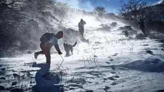 بارش رویایی برف، ارتفاعات تالش را سفیدپوش کرد