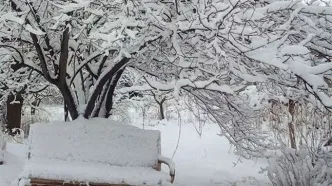 تصاویری از بارش شدید برف در مراغه