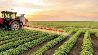 هشدار به کشاورزان در پی اعلام وضعیت سطح نارنجی ویژه حامل‌های انرژی