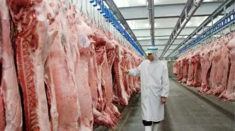 گوشت قرمز، کالای لوکس شد؟/ منتظر ورود دام پاکستانی باشید!