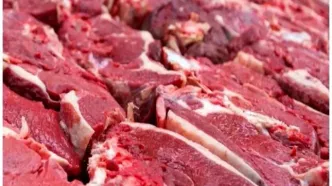 آخرین وضعیت بازار گوشت امروز  دوشنبه ۲۵ خرداد ۱۴۰۵