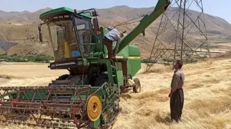 خبر فوری: پزشکیان بمب خبری در بازار گندم ترکاند: «این قیمت‌ها فاجعه‌اند و بزودی دگرگون می‌شوند!»