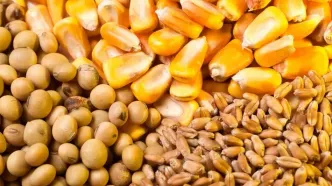 توزیع نهاده‌های دامی با نرخ مصوب در سامانه بازارگاه