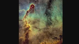 خرطوم فیل در آسمان! / عکس