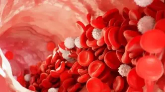 افت گلبول سفید خون، زنگ خطر سلامت بدن
