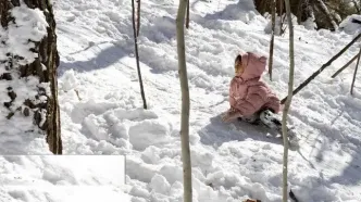 تصاویر؛ حال و هوای برفی پایتخت در اولین روز بهمن