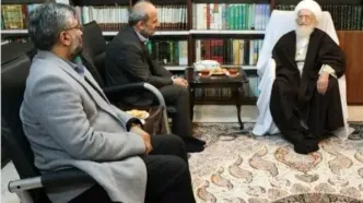 آیت‌الله العظمی نوری همدانی: کمر مردم از گرانی خم شده است