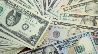 شوک بزرگ دلار در ۸ بهمن ۱۴۰۴: آیا قیمت‌ها از کنترل خارج شد؟