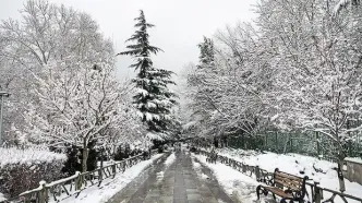 فعال شدن سامانه بارشی در تهران