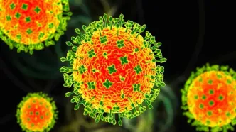 نگرانی از شیوع ویروس نیپا؛ آغاز غربالگری مسافران از مبدا هند در نپال و تایلند