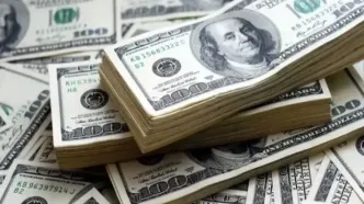 قیمت دلار امروز ۱۴ دی ۱۴۰۴ | سقوط دلار ادامه دارد؟