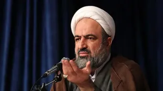 رسایی با اشاره به سفر عراقچی به ترکیه/ در ترکیه خبری نیست خر داغ می‌کنند!