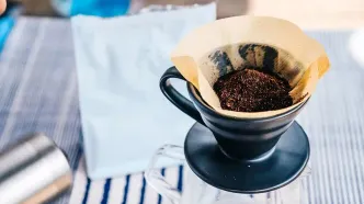 چطور با فیلتر قهوه سلامت ریشه گیاهان خود را تضمین کنید؟