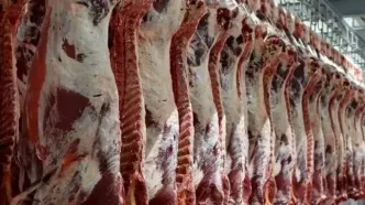 قیمت روز گوشت قرمز امروز؛ ۱۴ دی ۱۴۰۴ + جدول نرخ‌ها