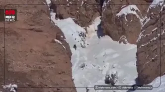 ببینید؛ کوه پیمایی پلنگ ایرانی در میان برف