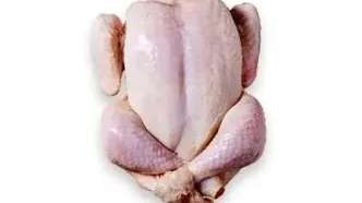 قیمت مرغ به زیر ۲۰۰هزار تومان رفت