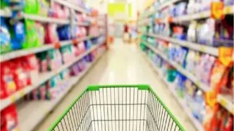 انارکی: دولت با کالابرگ الکترونیکی مابه‌التفاوت قیمت‌ها را به مردم پرداخت می‌کند