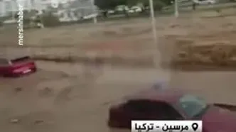 سیل در ترکیه خودروها را با خود برد