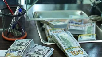 شکست 45 سال اقتصاد دستوری | راسخ: با حذف ارز ترجیحی رانت‌خواران از چرخه اقتصاد خارج می‌شوند | ارز ترجیحی هیچ منفعتی برای مصرف‌کننده نهایی نداشت