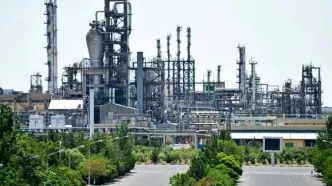 نقدشوندگی بالا و تقاضای پرقدرت برای محصولات پایه