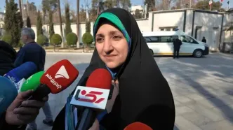 بهروز آذر معاون امور زنان و خانواده رییس جمهور :اصلاحات لایحه خشونت علیه زنان در حال بررسی است