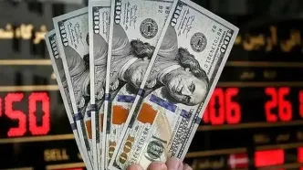 بانک مرکزی حریف قیمت‌گذاران ارز هرات و سلیمانیه نمی‌شود