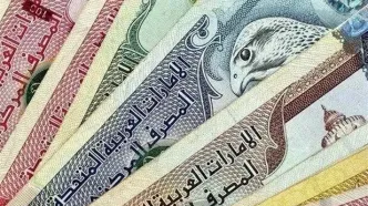 قیمت درهم حواله‌ای امروز یکشنبه ۵ بهمن ۱۴۰۴