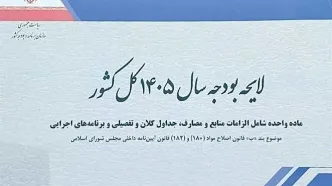 کلیات لایحه بودجه ۱۴۰۵ تصویب شد