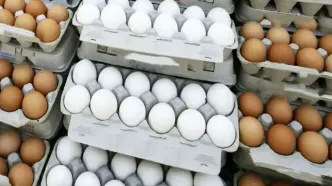 قیمت تخم مرغ در فروشگاه‌های زنجیره‌ای / کاهش قیمت به دنبال کاهش خرید مردم