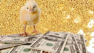 قیمت نهاده ها پس‌از حذف ارز ترجیحی مشخص شد