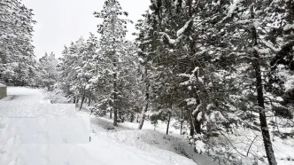 تصاویر؛ بارش برف زمستانی در تهران