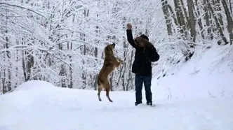 زیبایی چشم‌نواز از سوادکوهِ برفی