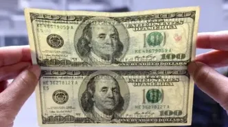 قیمت جدید دلار امروز چهارشنبه ۸ بهمن ۱۴۰۴+ جدول کامل و دقیق