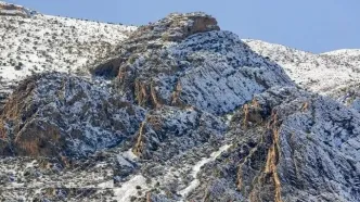 تصاویر؛ چهره سپید کوه‌های شیراز