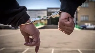 دستگیری سارقان پارک پردیسان